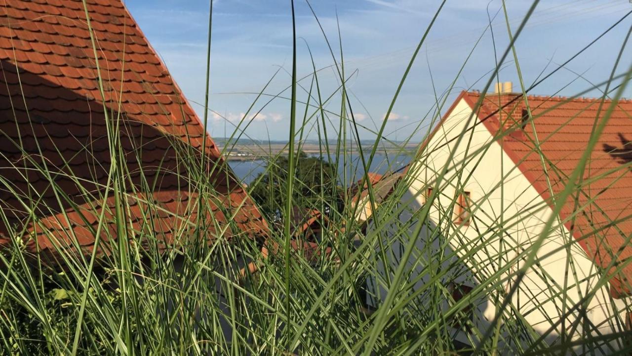 Cottage With Private Swimming Pool Pavlov Exteriér fotografie