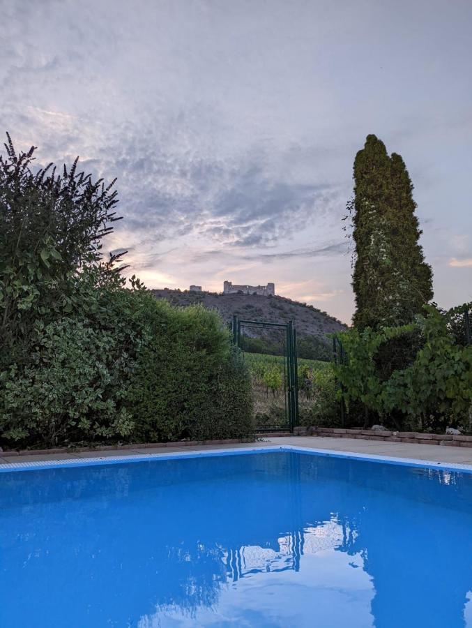 Cottage With Private Swimming Pool Pavlov Exteriér fotografie
